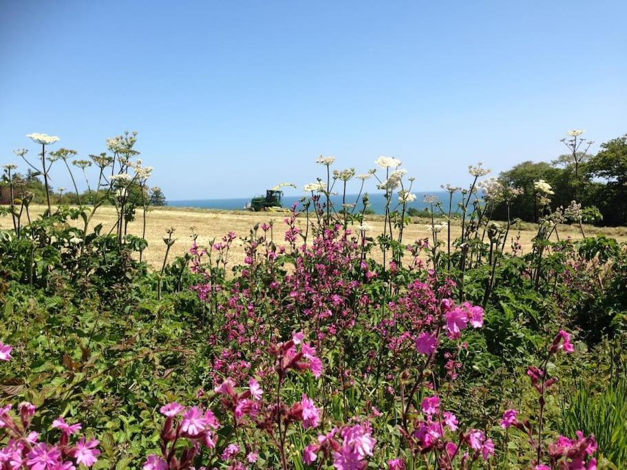 Little Bream - Pretty Cosy Cottage, Sea Views, Walk To The Beach Mawnan Smith ภายนอก รูปภาพ