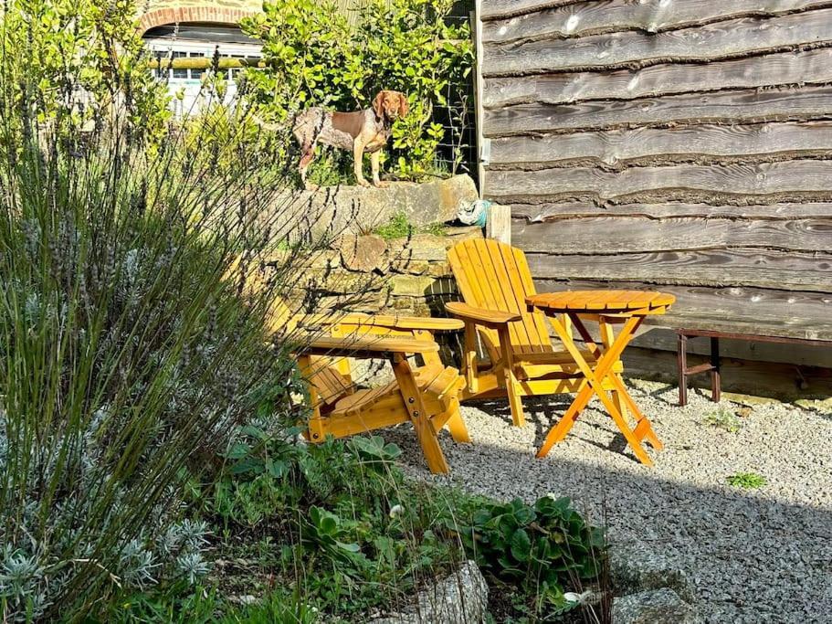 Little Bream - Pretty Cosy Cottage, Sea Views, Walk To The Beach Mawnan Smith ภายนอก รูปภาพ